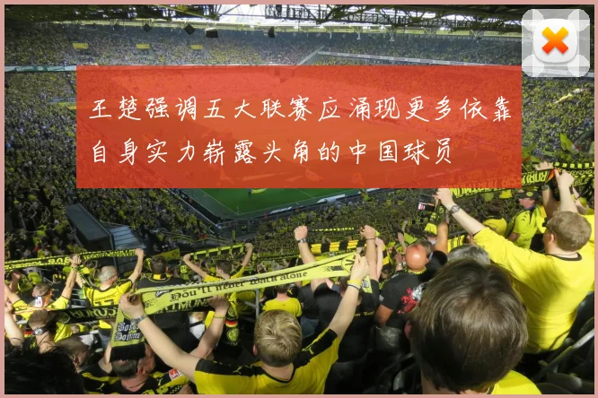 王楚强调五大联赛应涌现更多依靠自身实力崭露头角的中国球员